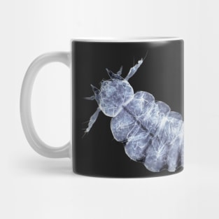 Beetle larva under the microscope Mug